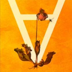 The Hirudo Effect : A The Hirudo Effect : A